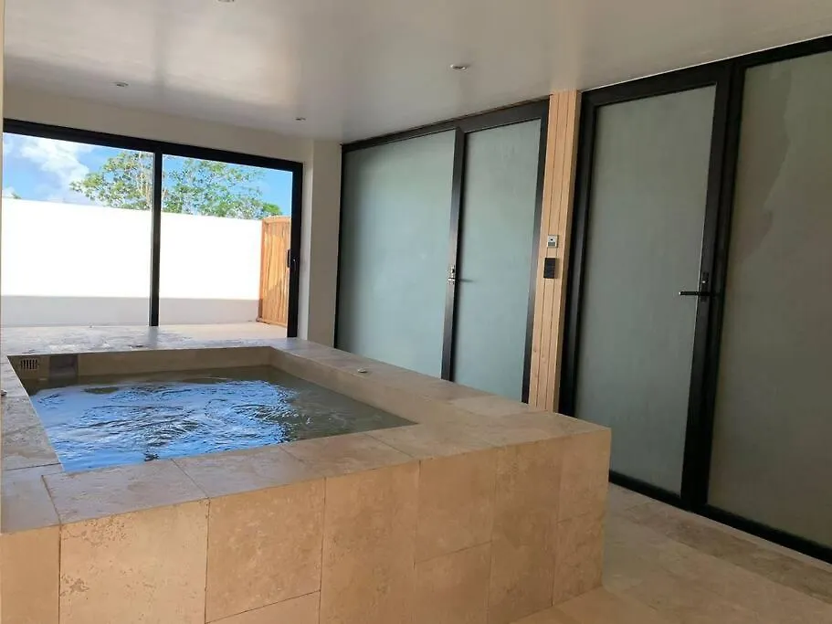 Luxury Apartment W/Private Jacuzzi & Cenote Tulum